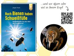 Das neue Buch von Prof. Jürgen Tautz. &quot;Auch Bienen haben Schweißfüße&quot;